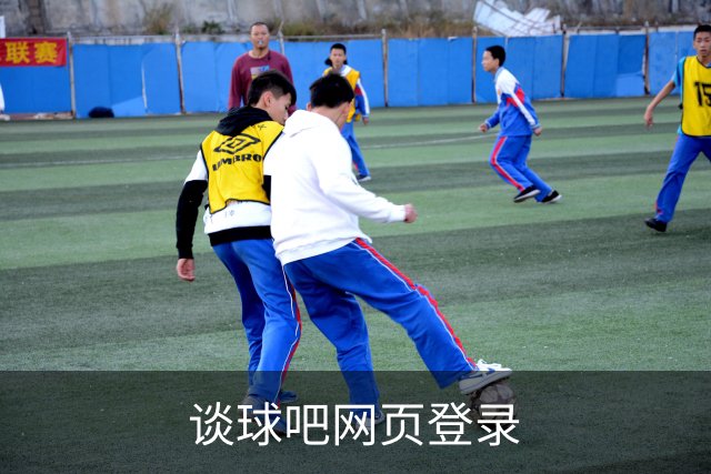 谈球吧网页登录公司简介图片